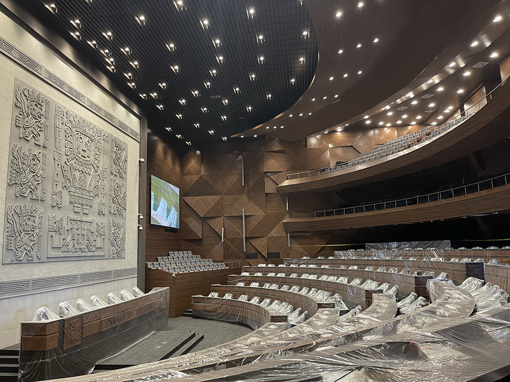 Camara de Diputados-l