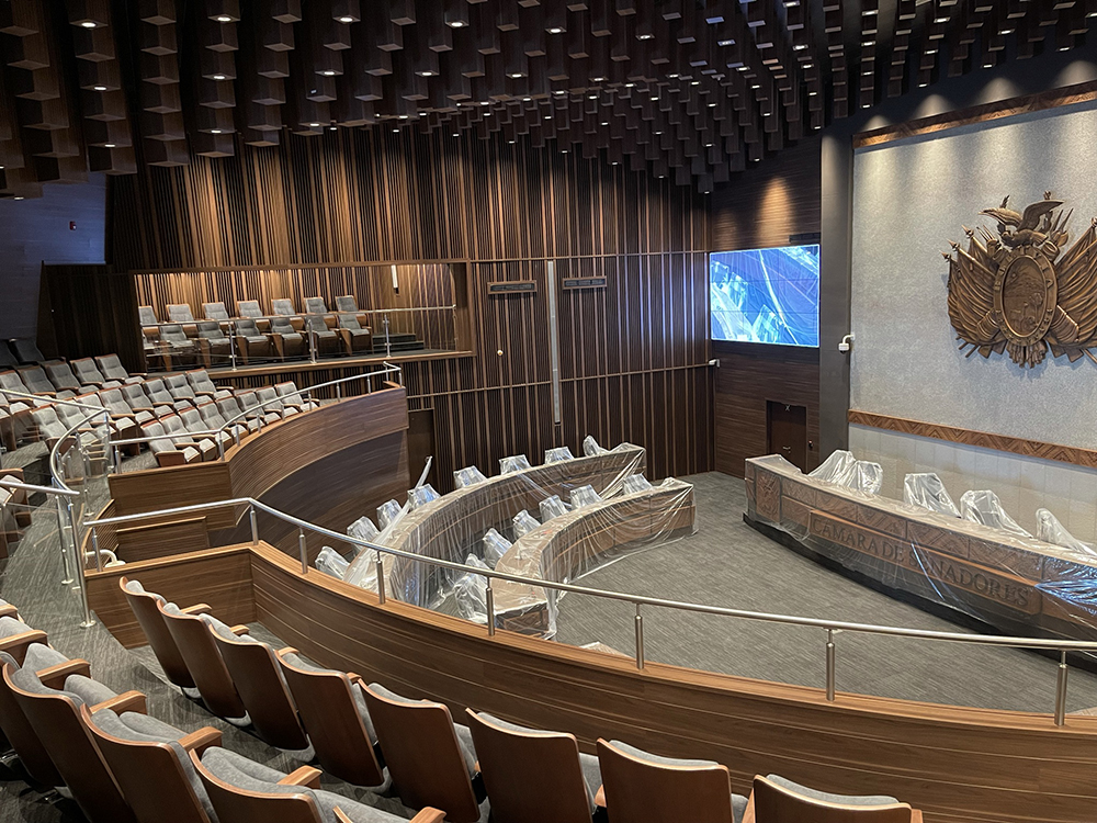 Camara de Senadores-l